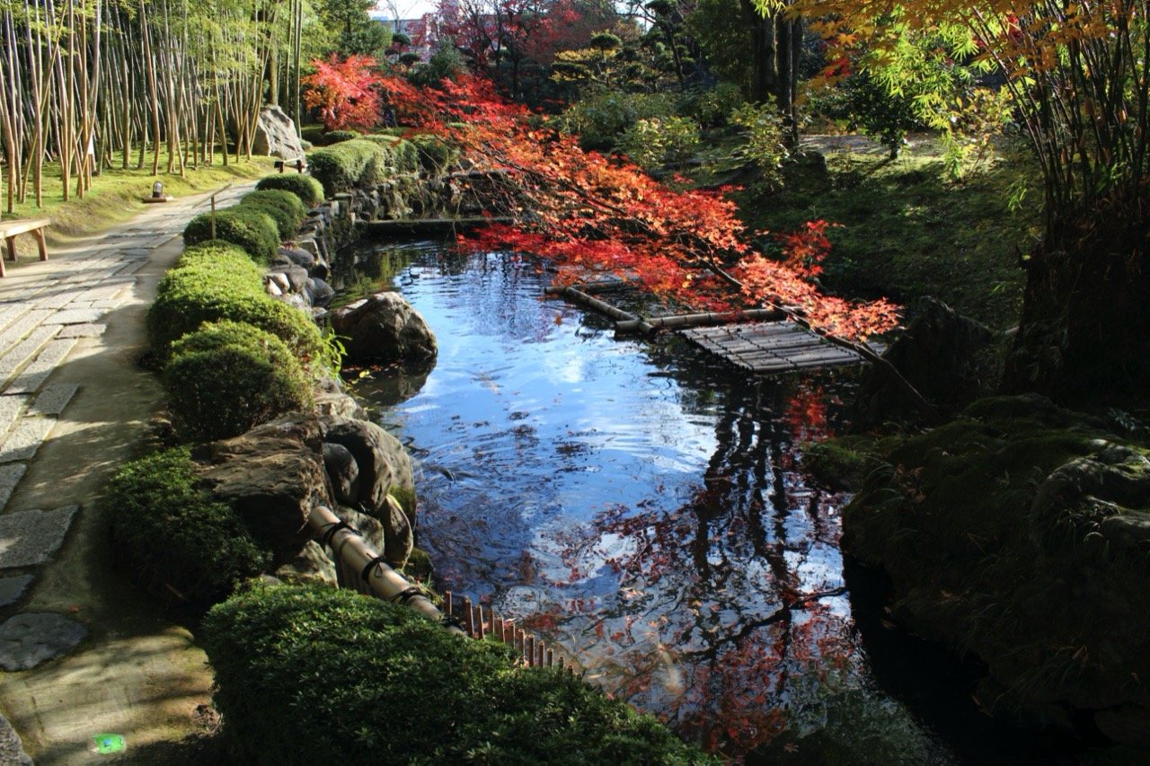 🖼️ 야와타 시립 송화당 정원・미술관(야와타 시리츠 쇼카도 테이엔・비주츠칸) 이미지 8